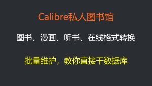 Calibre私人书库搭建教学！藏书、漫画、听书，在线阅读+格式转换-itdog