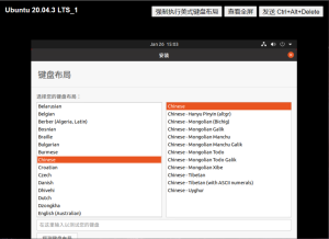 1期：安装Ubuntu系统时，分辨率太小，点不到下一步按钮-itdog