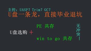 终极U盘教程：选购+拔草！500万销量U盘居然这么烂。依靠ventoy实现PE + win to go无限共存。-itdog