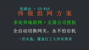【终极组网】手把手配置，蒲公英SD-WAN + 软路由，能想到的一切需求都解决了。-itdog