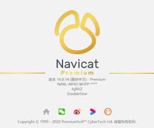 数据库软件，Navicat 16 破解版，带注册机。-itdog